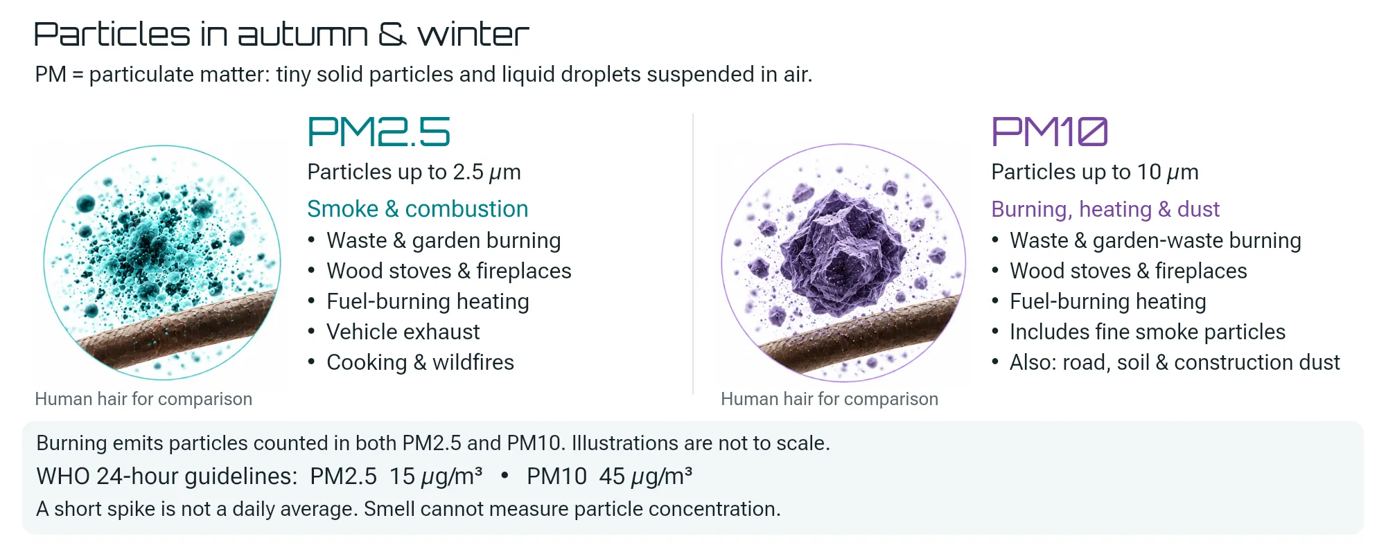 particles in autumn and winter
