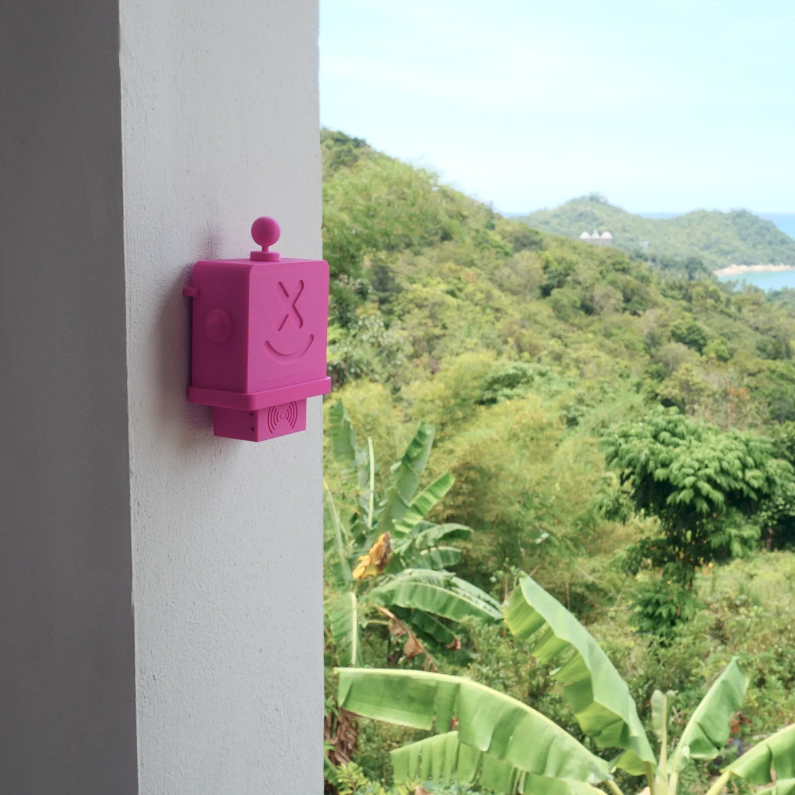 A pink Altruist on a white wall, green hillside and banana leaves beyond